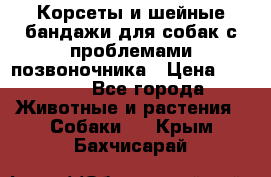 Корсеты и шейные бандажи для собак с проблемами позвоночника › Цена ­ 2 500 - Все города Животные и растения » Собаки   . Крым,Бахчисарай